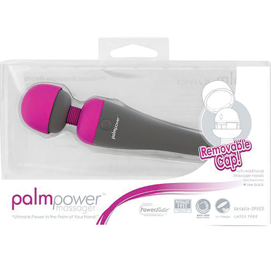 PalmPower Cordless Massager
